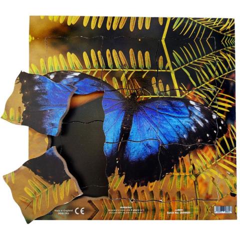 Cyklus - vývoj života motýla (puzzle 19 dílů)